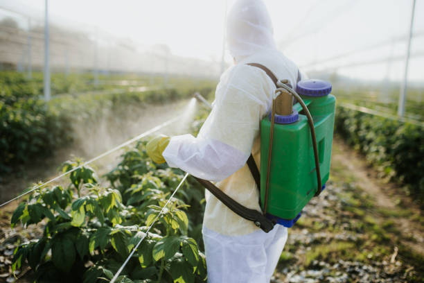 Insect Control in Four Corners, OR